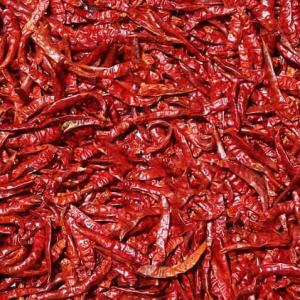 Dry Chillies (Sukno lanka)