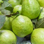 Guava(peyara)1 kg