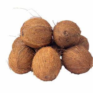 Fresh Coconut(Narkol)