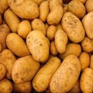 Chandramukhi Potato New Crop 1kg