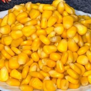 Sweet Corn