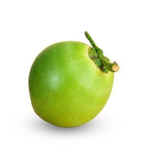 Tender Coconut(1piece)