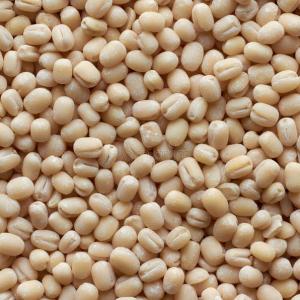 Mass Kolai ( Biri Kolai)