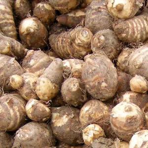 Taro Root( Maan kochu)