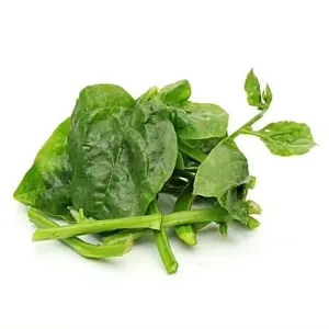 Fresho Basale Leaf 250 g