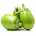 Green Brinjal by Tarkari