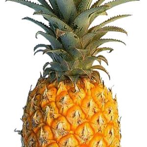 Pine Apple (Anaros)