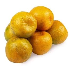 Nagpur Orange (Naranga)